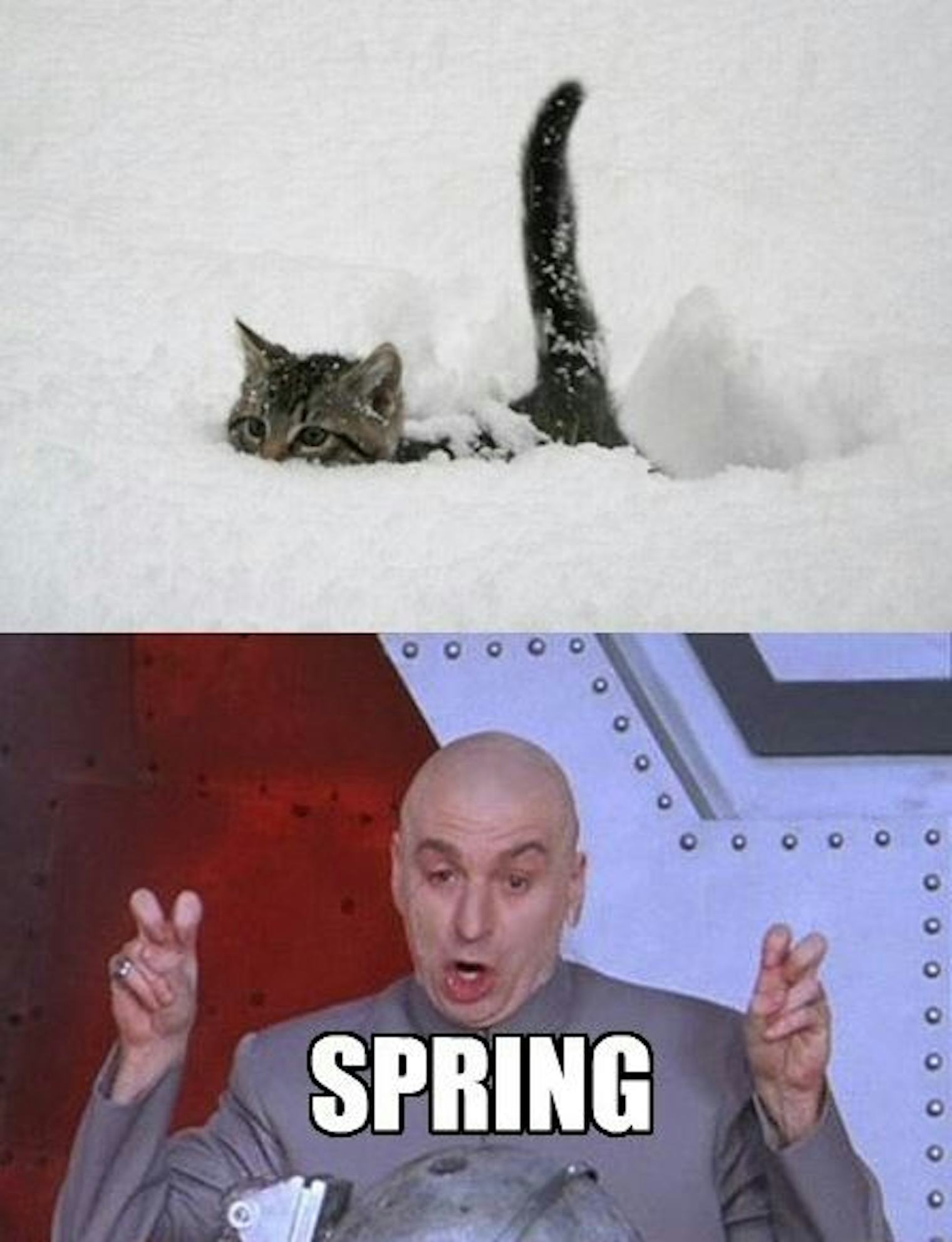 March Memes Funny