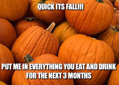 12 Fall Memes That Will Get You Ready For Your Favorite Season 12 Fall Memes That Will Get You Ready For Your Favorite Season
