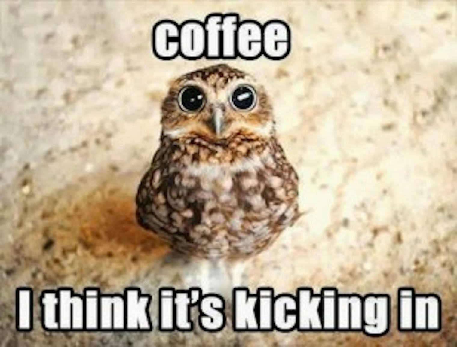 15 National Coffee Day Memes That Prove Caffeine Is A Way Of Life