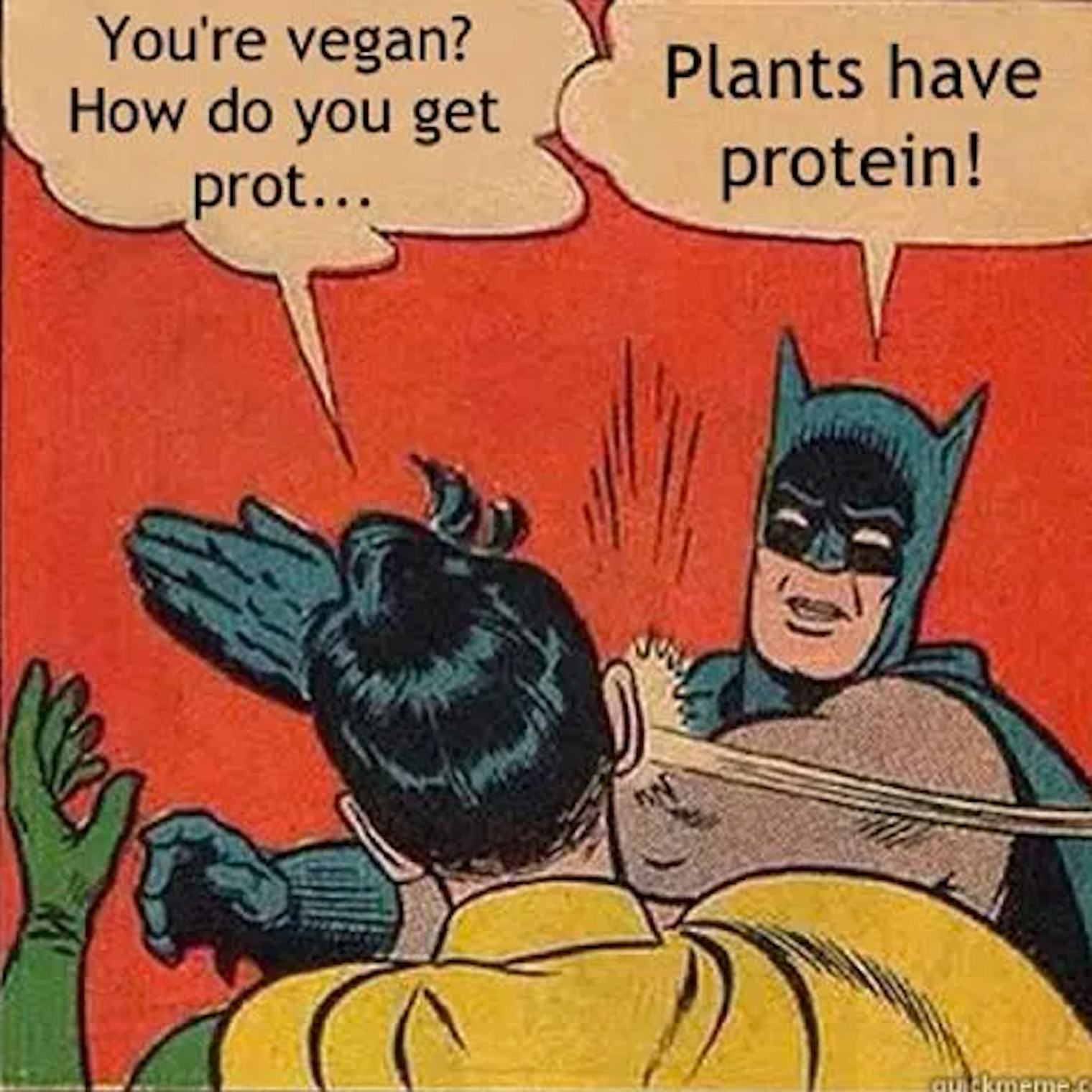 Memes About Veganism For World Vegan Day 6962