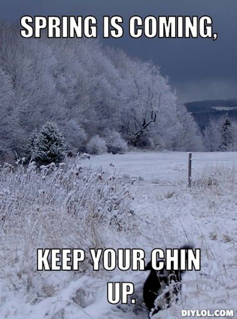 15 Funny Spring Memes To Get You Through These Chilly "Spring" Days