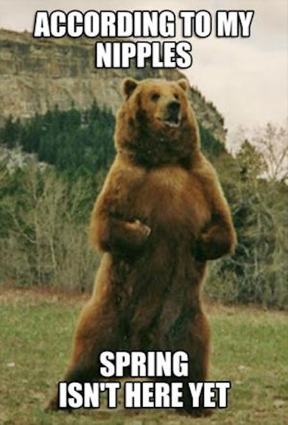 15 Funny Spring Memes To Get You Through These Chilly Spring Days 15 Funny Spring Memes To Get You Through These Chilly Spring Days