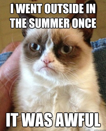 12 Funny Summer Memes That Will Make You See The Season Differently