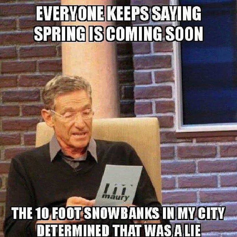 15 Funny Spring Memes To Get You Through These Chilly "Spring" Days