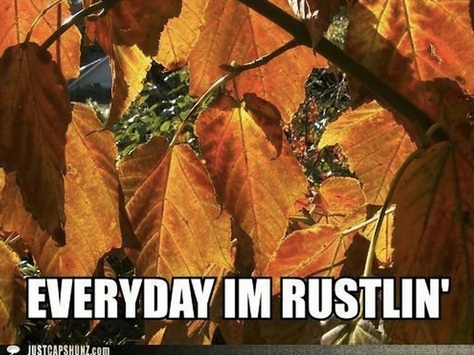 Fall meme. Осень Мем. Мемы про осень. Funny memes about Fall.