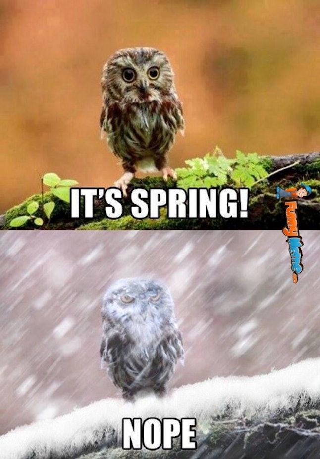 15 Funny Spring Memes To Get You Through These Chilly "Spring" Days