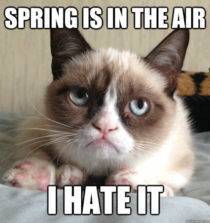 9 May Day Memes To Make You Laugh — Because Justin Timberlake Never Gets Old 9 May Day Memes To Make You Laugh — Because Justin Timberlake Never Gets Old