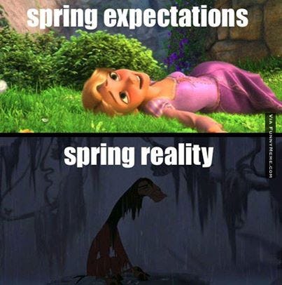 15 Funny Spring Memes To Get You Through These Chilly "Spring" Days