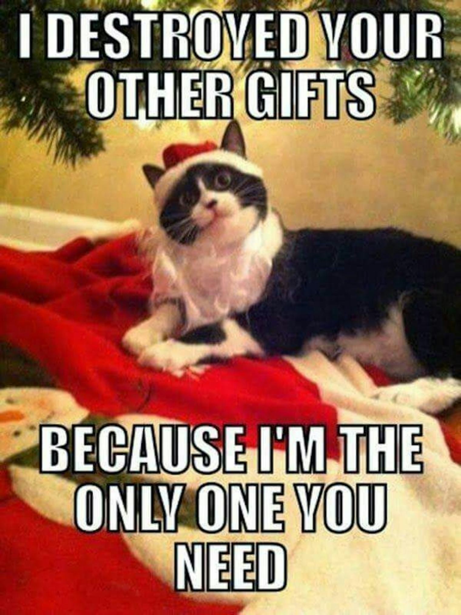 Funny Christmas Memes For 2016 That Bring, Joy, Love, And Plenty Of Cheer