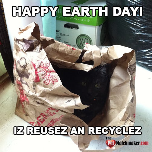 13 Earth Day Memes That Will Make You Laugh, And Also Make You Think