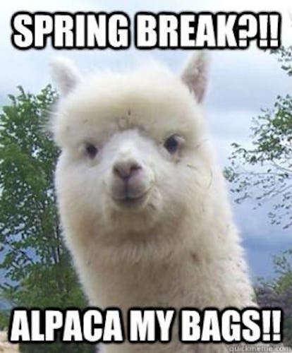 18 Spring Break Memes For Those Who Get Time Off And Those Who Wish They Did 18 Spring Break Memes For Those Who Get Time Off And Those Who Wish They Did