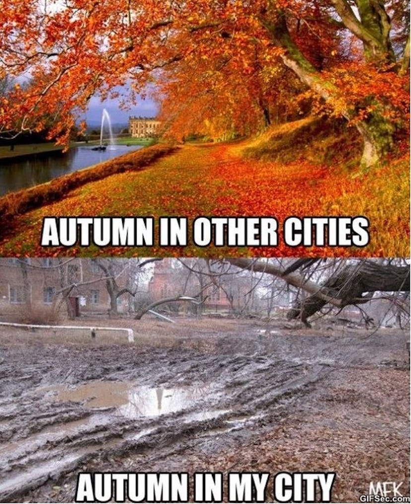 12 Fall Memes That Will Get You Ready For Your Favorite Season