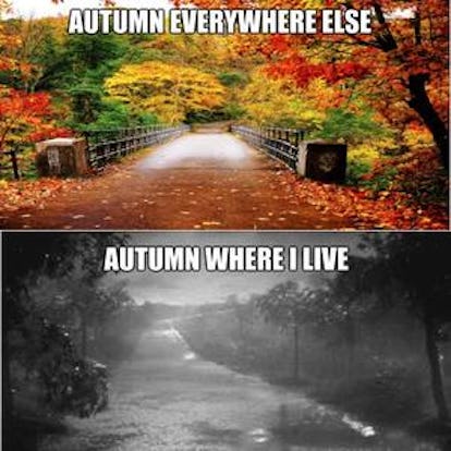14 Fall Memes So You Can Usher In The Greatest Season Of Them All With A Laugh