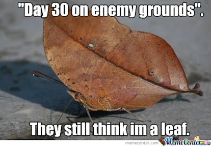 14 Fall Memes So You Can Usher In The Greatest Season Of Them All With A Laugh