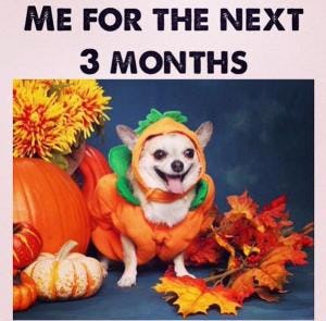 12 Fall Memes That Will Get You Ready For Your Favorite Season