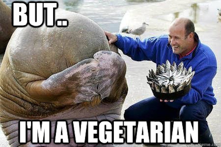 9 Vegetarian Memes In Honor Of World Vegetarian Day 2016 3191