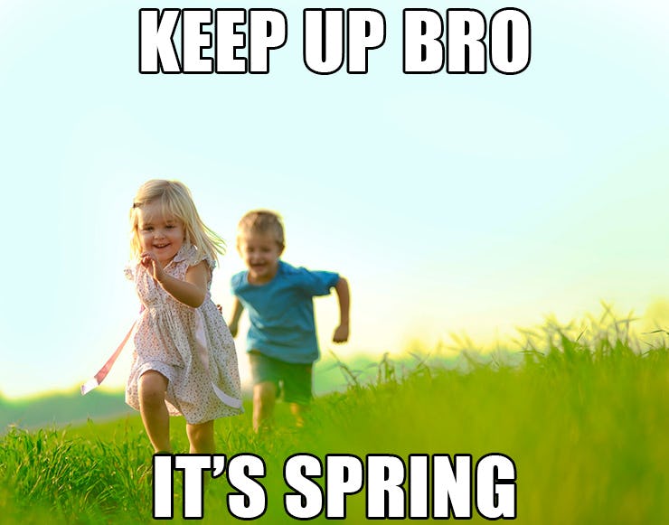 15 Funny Spring Memes To Get You Through These Chilly "Spring" Days