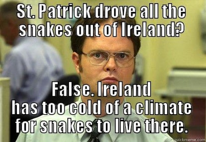 10 Funny St. Patrick's Day Memes To Make You Laugh On This Irish Holiday