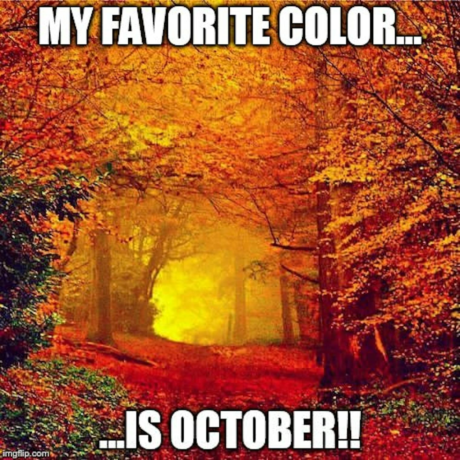 Fall meme