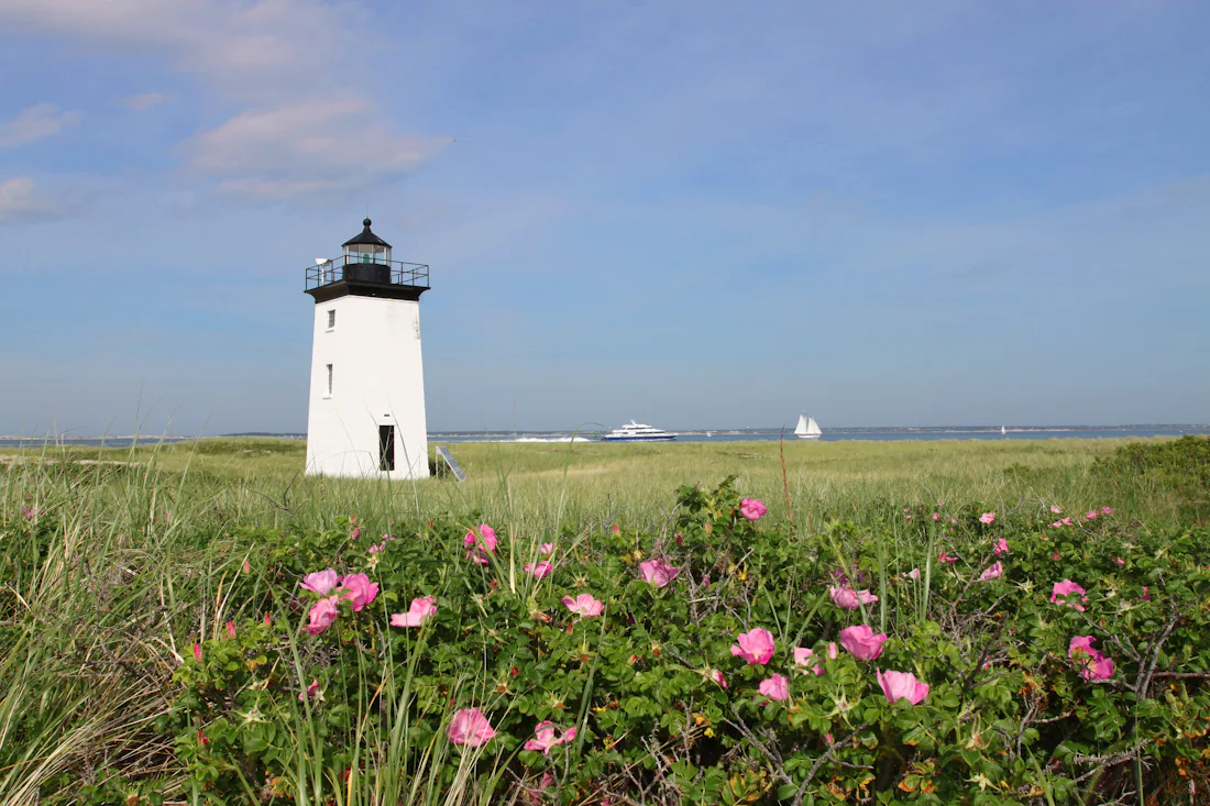 20 Reasons To Visit Cape Cod This Summer, Because Everyone Should ...