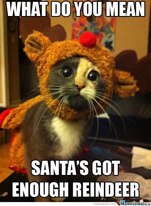 Christmas holiday memes alcohol sometimes enough because through isn ok then 16 Christmas Memes To Get You Through The Holiday, Because Sometimes