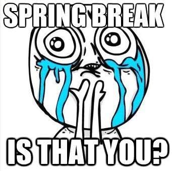 18 Spring Break Memes To Get The Party Started, Whether You're Hitting