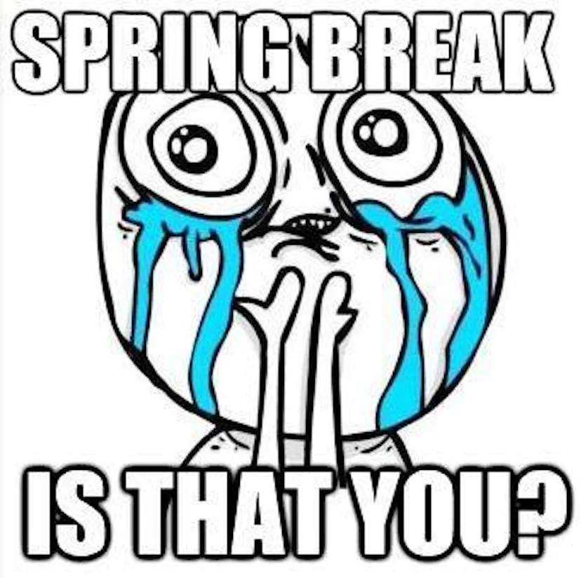 18 Spring Break Memes To Get The Party Started, Whether You're Hitting ...