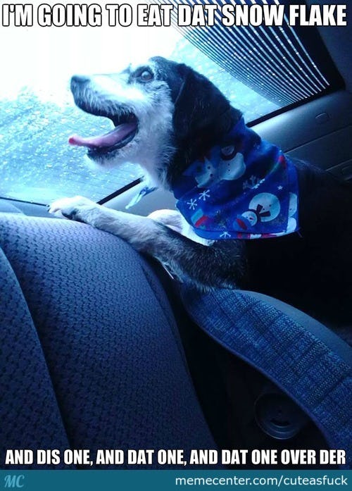 9 Winter Solstice Memes For The First Day Of Winter, Because Hopefully