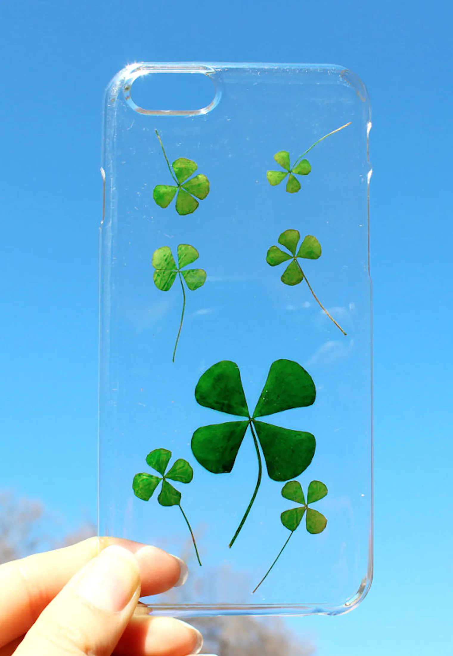 These Real Flower Phone Cases For Spring Will Brighten Up Your Day — PHOTOS