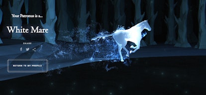 What Patronuses Can Harry Potter Fans Get On Pottermore Here Are The Possibilities