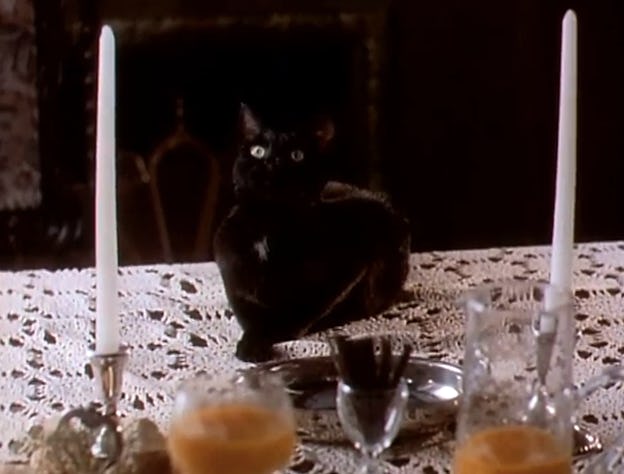 watch sabrina the teenage witch movie watch sabrina the teenage witch movie