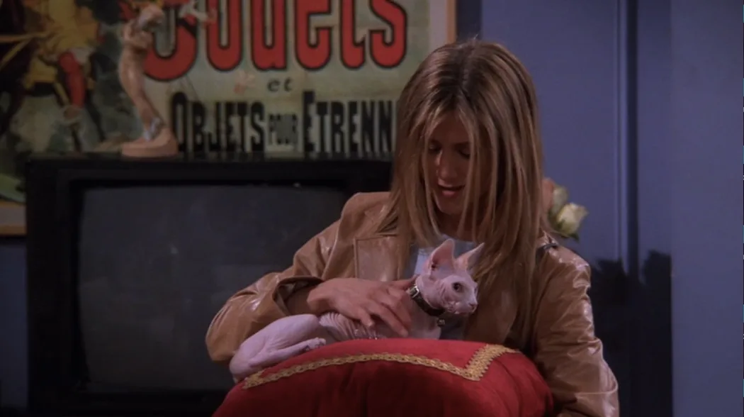 Ranking Every Animal On 'Friends,' From Marcel The Monkey To Mrs ...