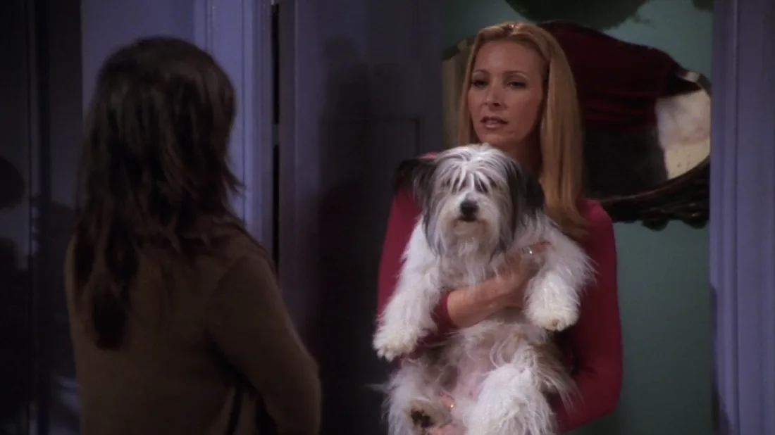 Ranking Every Animal On 'Friends,' From Marcel The Monkey To Mrs ...