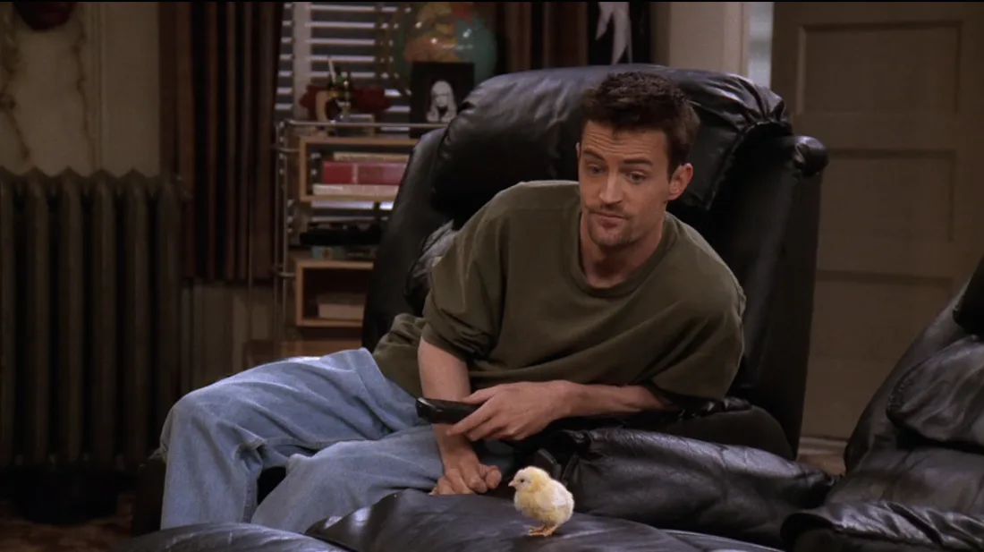 Ranking Every Animal On 'Friends,' From Marcel The Monkey To Mrs ...