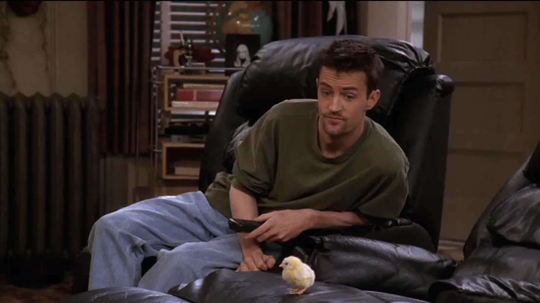 Ranking Every Animal On 'Friends,' From Marcel The Monkey To Mrs ...