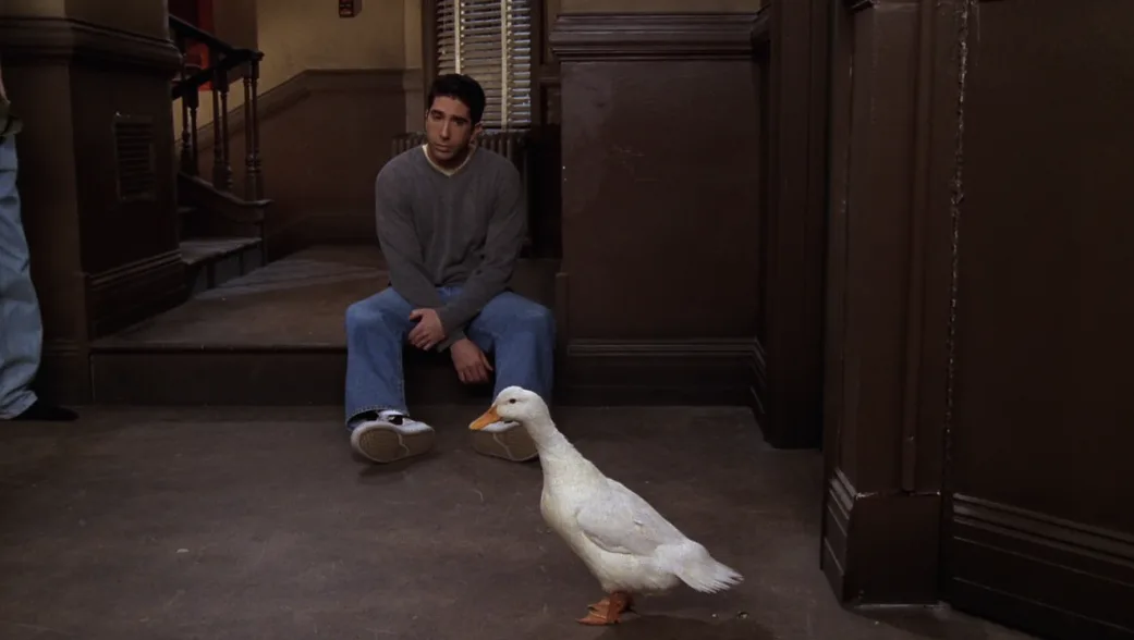 Ranking Every Animal On 'Friends,' From Marcel The Monkey To Mrs ...