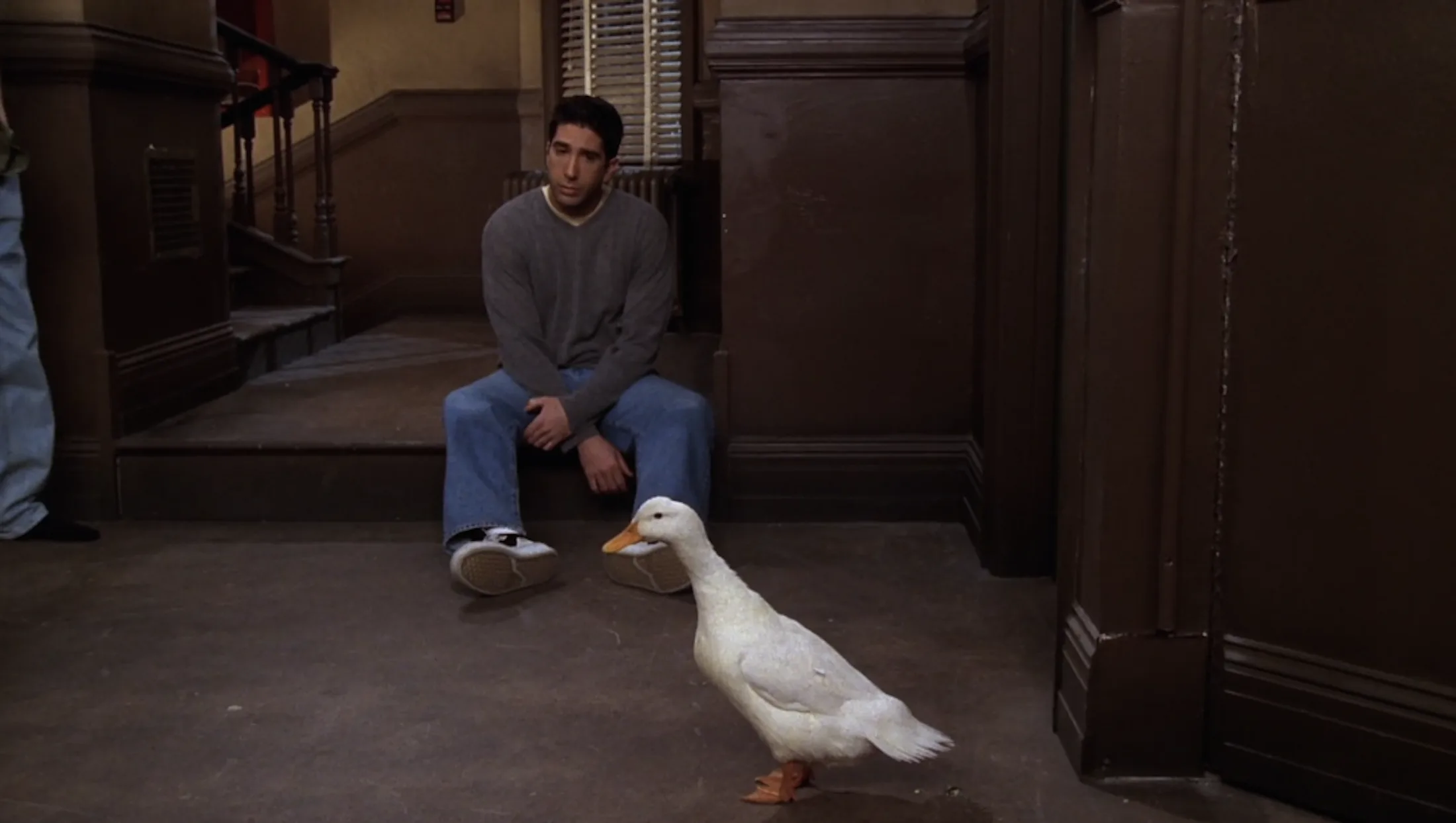 Ranking Every Animal On 'Friends,' From Marcel The Monkey To Mrs ...