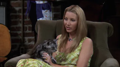 Ranking Every Animal On 'Friends,' From Marcel The Monkey To Mrs ...