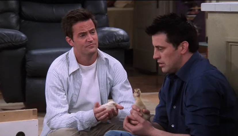 Ranking Every Animal On 'Friends,' From Marcel The Monkey To Mrs ...