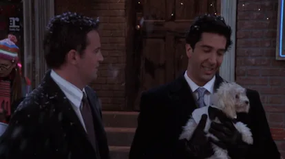 Ranking Every Animal On 'Friends,' From Marcel The Monkey To Mrs ...