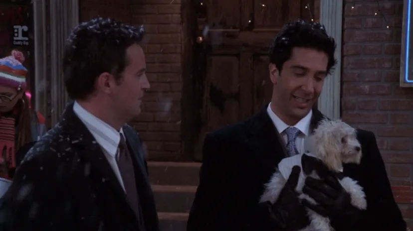 Ranking Every Animal On 'Friends,' From Marcel The Monkey To Mrs ...