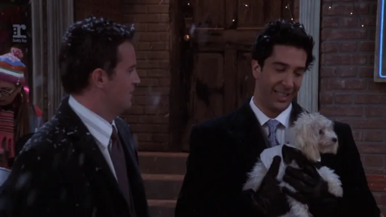 Ranking Every Animal On 'Friends,' From Marcel The Monkey To Mrs ...