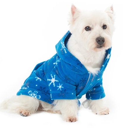 matching dog pajamas owner
