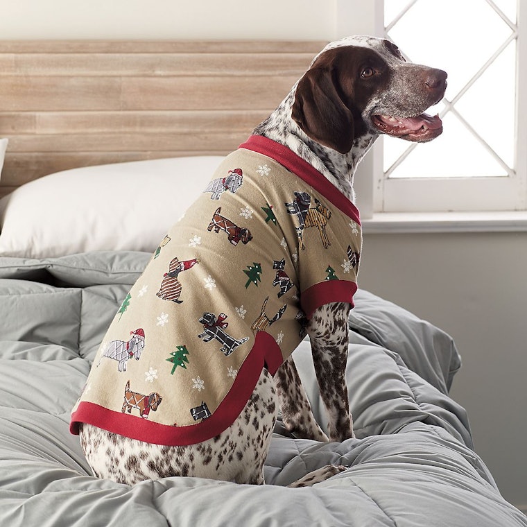 11 Matching Dog & Owner Pajamas That Are Adorable From Head To Paw — PHOTOS
