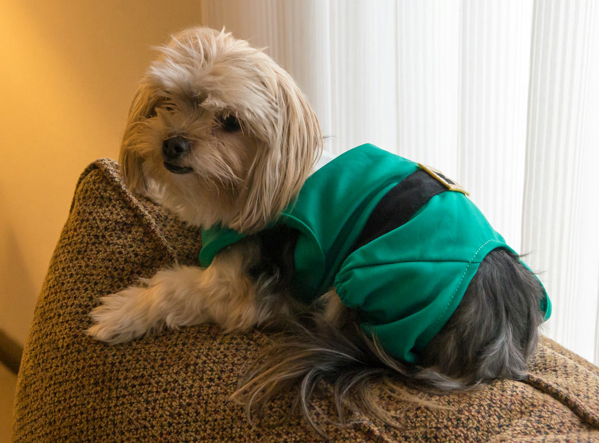 11 Matching Dog & Owner Pajamas That Are Adorable From Head To Paw — PHOTOS