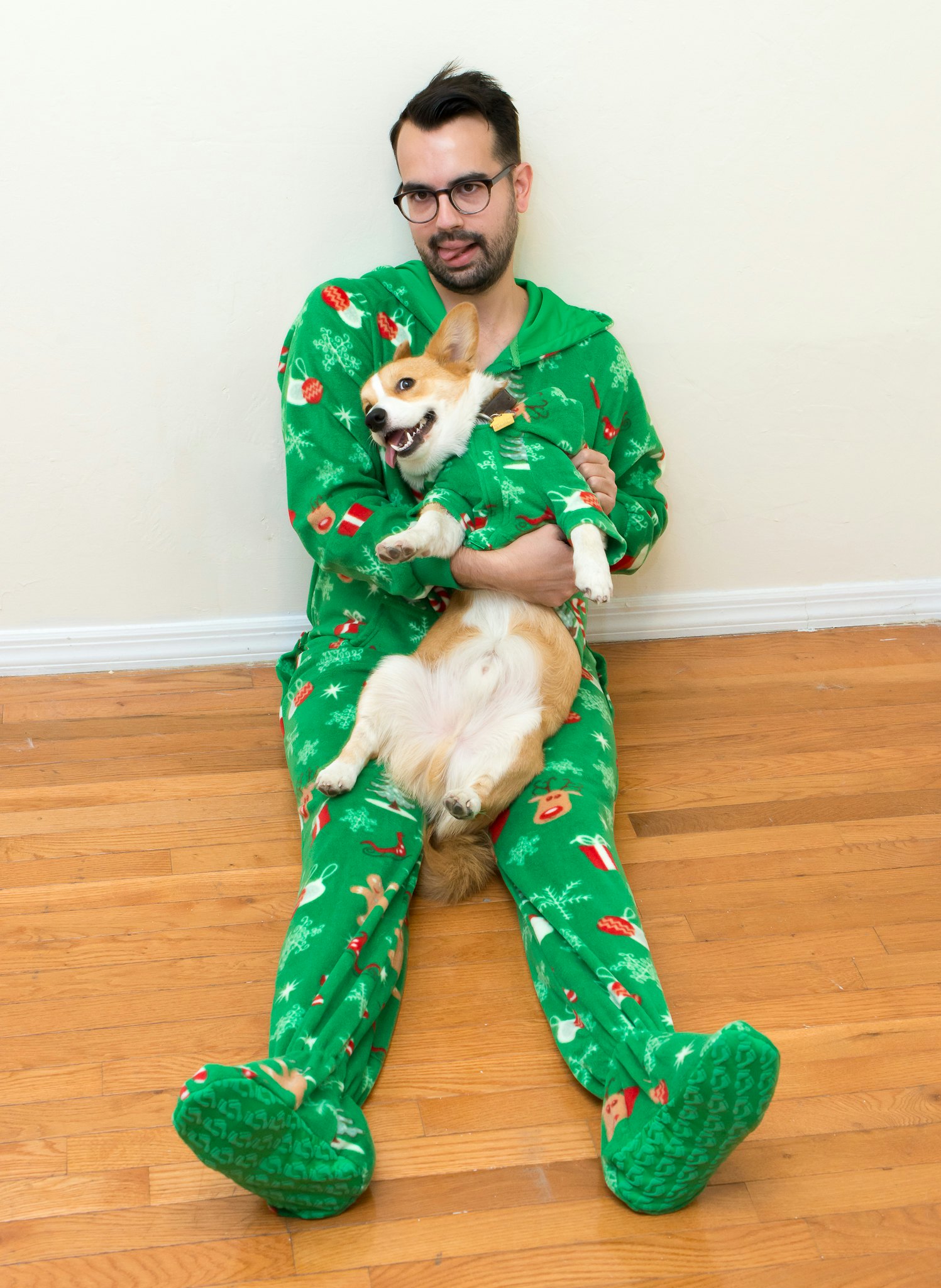 matching dog and owner christmas outfits