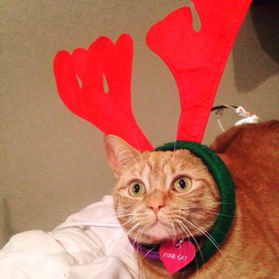 Why I Choose To Celebrate Christmas Without My Family