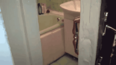 28dc5c60-d107-0133-a28f-0e55e2be01e5.gif