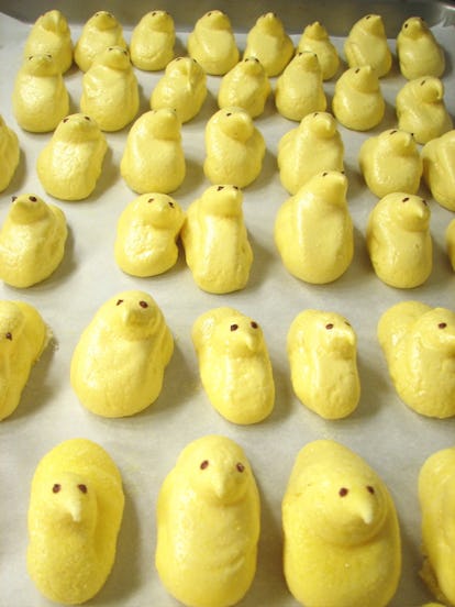 7 Types Of Easter Peeps And What Your Favorite One Says About You ...