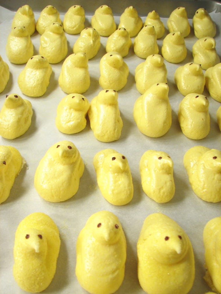 7 Types Of Easter Peeps And What Your Favorite One Says About You ...